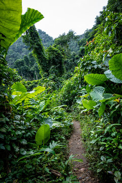 Vietnam Cat Ba, Halong, Asien