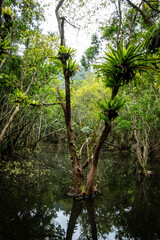 Vietnam Cat Ba, Halong, Asien