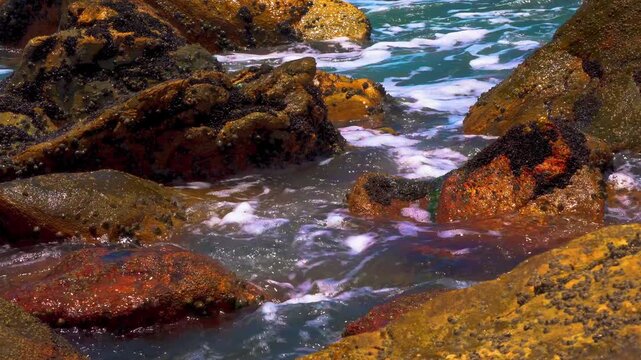 Praia #08