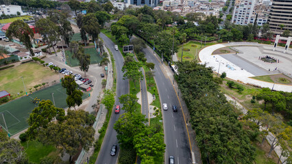 Urban mobility concept with tree lined avenue, crosswalks and city buildings seen from above.