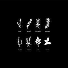 set of black silhouettes of plants bundle of leaf.