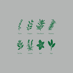 vector green tree with leaves bundle. bundle vector set of silhouettes of plants. Set of Minimalist Culinary Herb Silhouettes Vector.