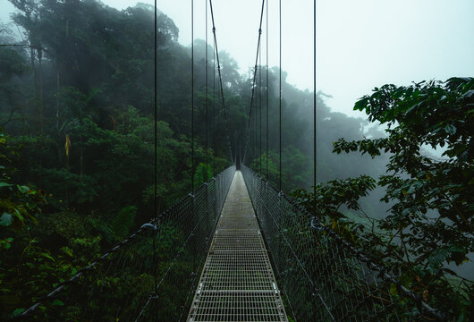 Epic Misty Rainforest Hanging Bridge Costa Rica South America. Mistico Park in La Fortuna. Dark Metal Narrow Foot Path Lush Forest Trees No People