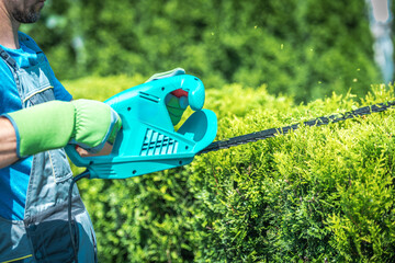 Naklejka premium Man Trims Bushes in a Garden With Electric Trimmer