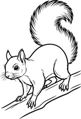 Obraz premium Squirrel – line drawing vector illustration