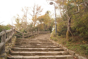 石造りの階段と木製の手すりの道