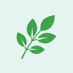 Fototapeta premium Green leafy branch with multiple leaves on a light background.