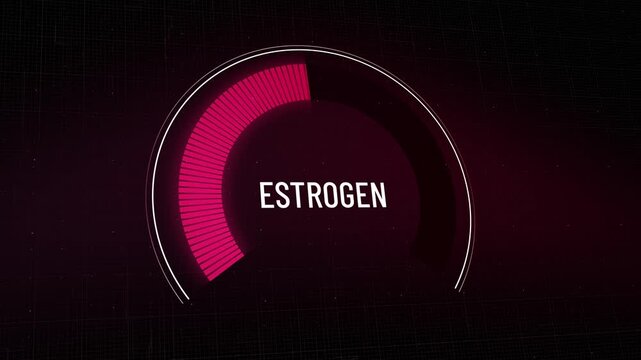 Futuristic graphical display tracking Estrogen steroid hormone metrics, indicator filling rapidly from minimum to maximum, showing optimal endocrine function, health status report. Copy space.