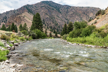 Idaho Wilderness on the River