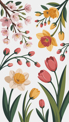 Beautiful spring flowers illustration with blooming cherry blossoms daffodils and tulips on white background floral design for wedding invitations greeting cards posters and wallpapers vibrant botanic