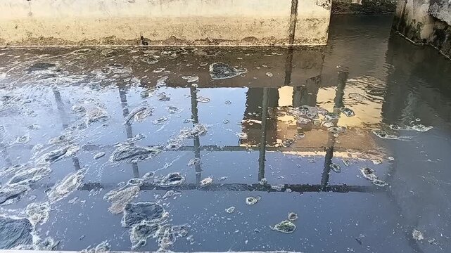 Raw Water Entering The Sedimentation Tank Showing Floating Blocks Of Green Algae Formed By High Tropical Sunlight