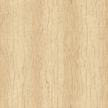 Cabinet-grade panel texture with soft cathedral arcs and consistent fiber direction, evenly lit for perfect repeat.