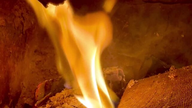 Close-up of burning firewood. Close-up of burning logs in fireplace.