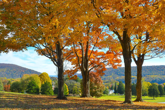 Beautiful autumn foliage near Harpers Ferry West Virginia, USA 