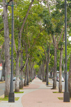 Paseo Bol&iacute;var, Matur&iacute;n. Venezuela
