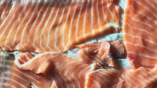 Raw different thin slices of salmon laid in one layer