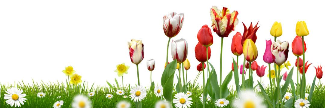 Fr&uuml;hling 6