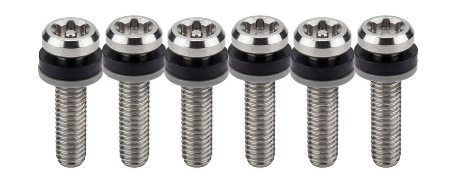 Stainless steel license plate screws with tamper-proof heads.