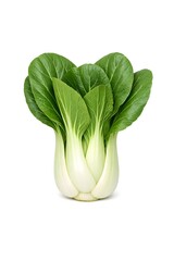 Bok choy shows its leaves and stalks clearly. The greens have a vibrant color. It stands tall and is fresh. This vegetable is commonly used in various dishes