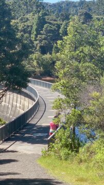 AUCKLAND, NEW ZEALAND &ndash; 29 January, 2026: Two people walk across a dam on the Cascade Kauri Walk, part of Auckland's water supply network, on a sunny day.