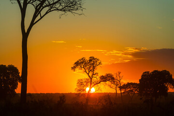 Obraz premium Rural landscapes in Brazil