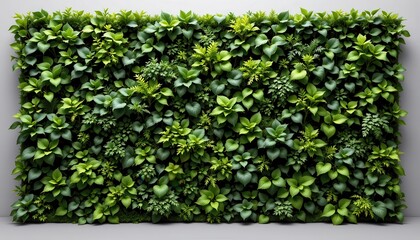 Green Vertical Garden Wall with Varied Leafy Plants for Interior Decoration and Design