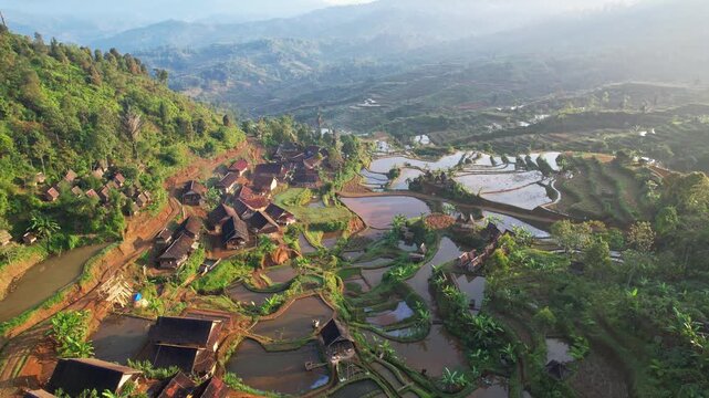 Aerial drone footage of a terrace watery rice field heaven valley, wooden thatched house, rice barns, at golden sunrise, no pollution, peaceful, in Gelaralam village, Sukabumi regency, Java, Indonesia