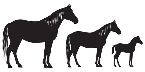 Obraz premium horse,family,silhouette flat design for wildlife group illustration vector graphic for nature education