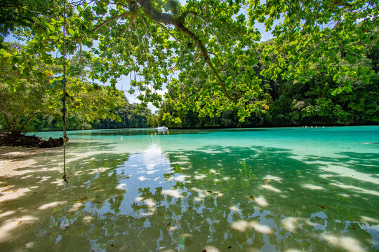 Dappled sunlight on the beach and Tarzan rope hanging from the tree. Calm, blue green ocean in Rock islands southern lagoon; world heritage site, Palau, Pacific