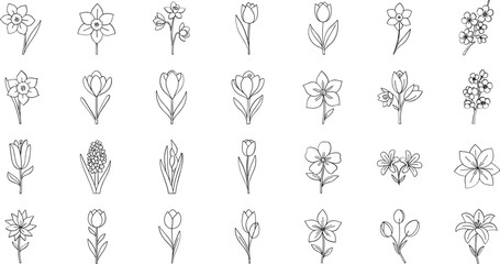 Collection of elegant flower line drawings for design