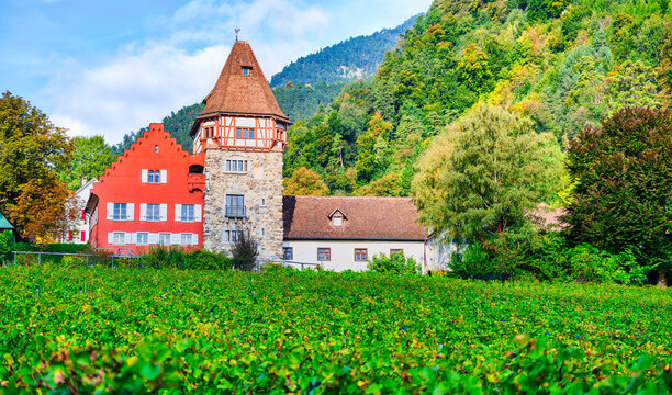 Historic Red House Landmark Behind Green Vineyards in Vaduz
