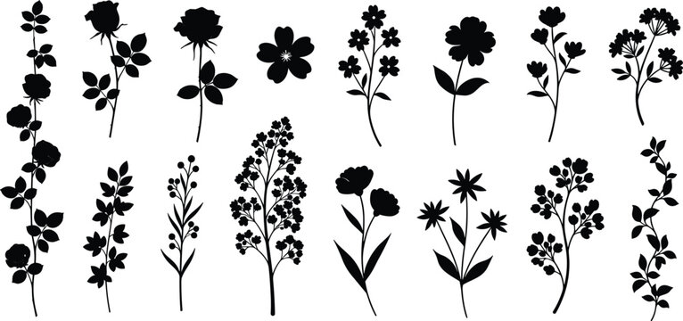 Black floral silhouette collection featuring elegant wildflower and botanical stems, minimal nature design elements for invitations, logos, decals, crafts, and decorative vector projects