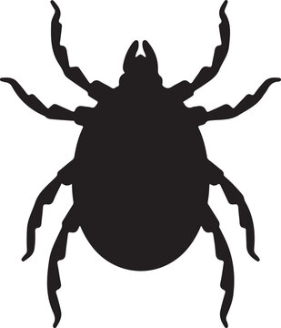 Tick Parasite Insect Clinging with Blood Feeding Behavior