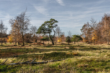 Das Naturschutzgebiet Schlangenberg -Stolberg Rhld. 