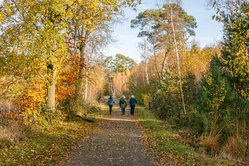 Obraz premium Das Naturschutzgebiet Schlangenberg -Stolberg Rhld. 