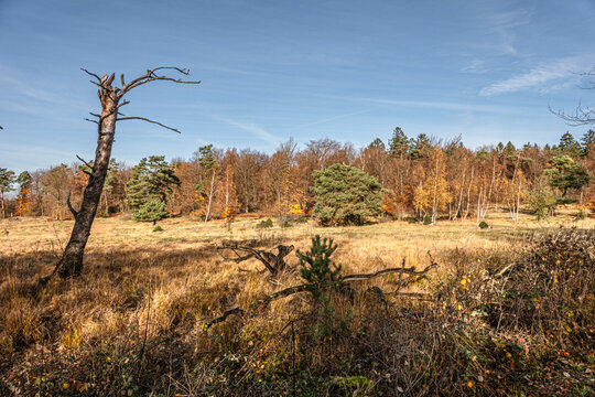 Das Naturschutzgebiet Schlangenberg -Stolberg Rhld. 