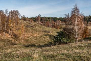 Das Naturschutzgebiet Schlangenberg -Stolberg Rhld. 