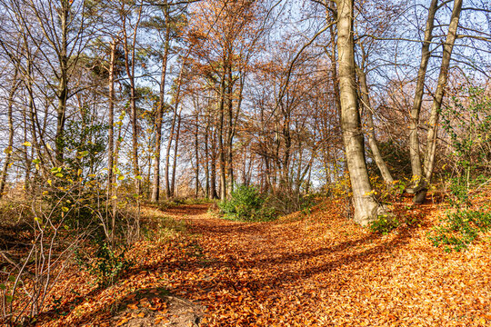 Das Naturschutzgebiet Schlangenberg -Stolberg Rhld. 