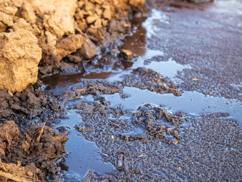Water flows over muddy ground at a site near sunset