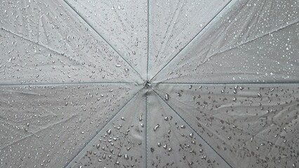 Obraz premium Close-up of a black umbrella covered in raindrops - Close-up de um guarda-chuva perto coberto por gotas de chuva