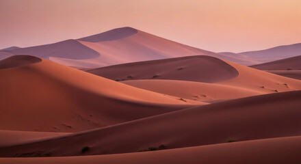 Golden Dunes in Desert During Sunset