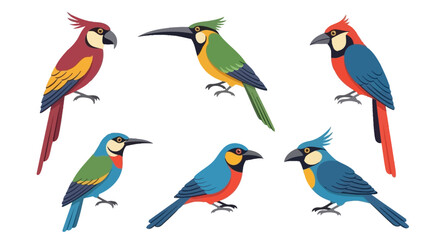 Naklejka premium Colorful Exotic Birds Collection: Parrots, Toucans, and Kingfishers