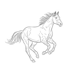 Obraz premium Elegant Horse Galloping Gracefully: Line Art Illustration