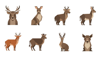 Fototapeta premium Set of Geometric Deer Illustrations: Various Poses and Angles