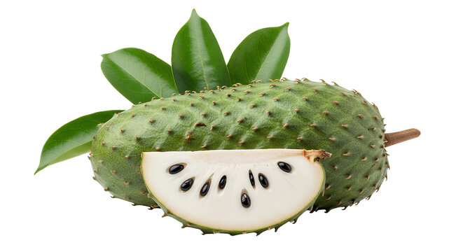 Fresh healthy soursop isolated on a white background create a raw organic tropical nature closeup full of green plant freshness
