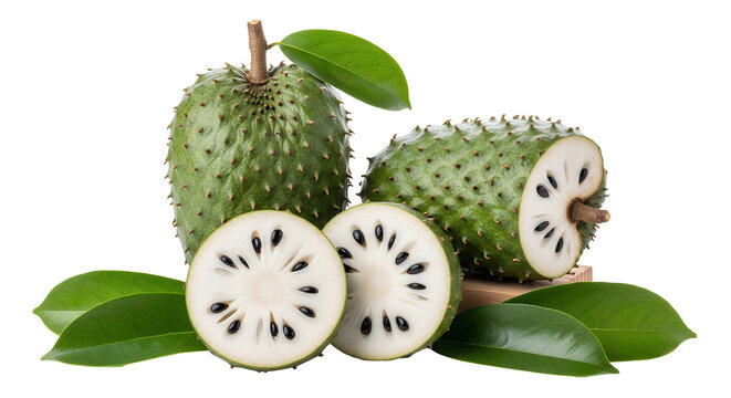 Fresh green soursop slices isolated on a white background create a healthy tropical fruits full of organic vitamins and natural sweetness