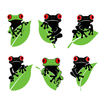 Six Red-Eyed Tree Frogs Sitting on Green Leaves, Cartoon Style
