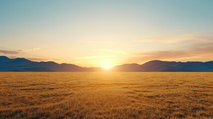 Fototapeta premium A large, empty field with a beautiful sunset in the background