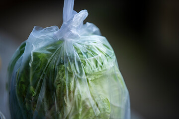 Fresh green lettuce in a plastic bag on the market, selective focus