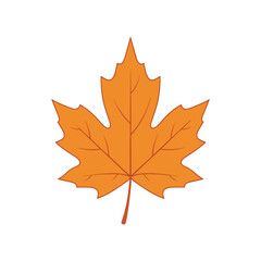 Obraz premium Autumn Maple Leaf Vector Illustration